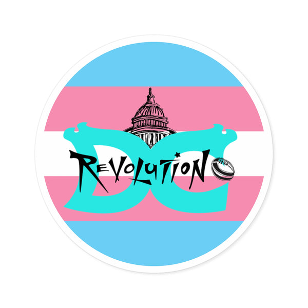 DC Revolution Trans Pride Sticker